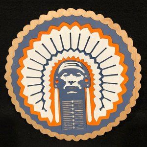 Chief Illiniwek Fighting Illini Wood Decor